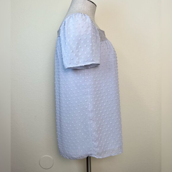 J. CREW Gray Swiss Dot Lace Trim Sheer Top Short Sleeve Blouse Size 0 - Picture 4 of 8